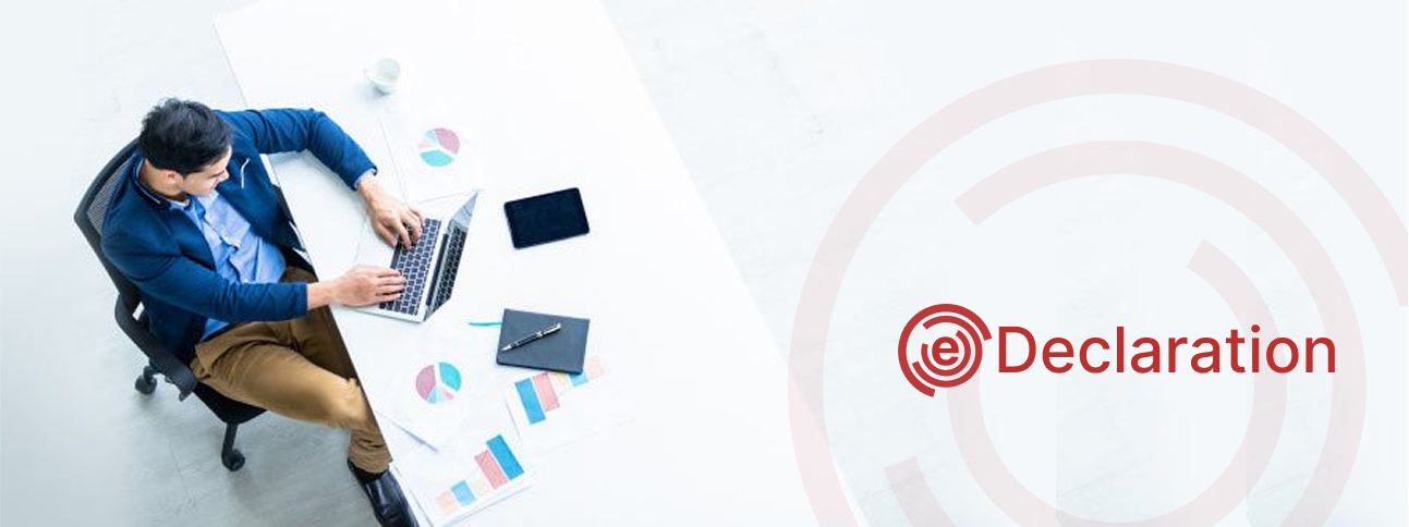 SAP entegrasyonlu GİB e-Beyanname çözümü tanıtım görseli
