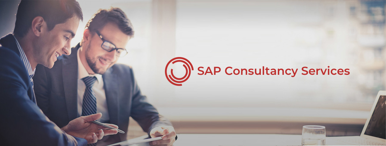 SAP Consultancy Services