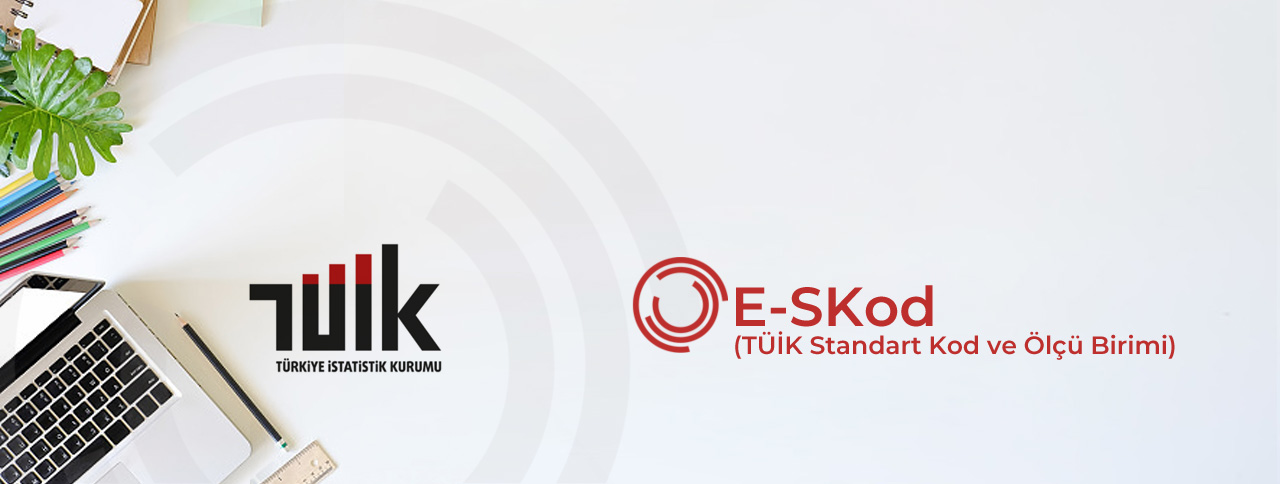 E-SKod (TÜİK Standart Kod ve Ölçü Birimi)